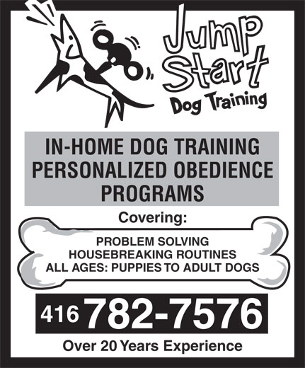 Dog Training Ads